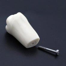 Replacement Dental Typodont Teeth 32Pcs Removable Teeth Fit Kilgore Nissin 200&nbsp;