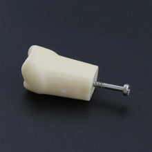 Replacement Dental Typodont Teeth Kit of 32 Teeth Fit Kilgore Nissin 200