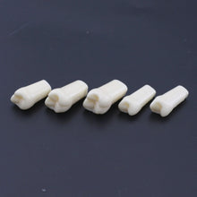 Replacement Dental Typodont Teeth Kit of 32 Teeth Fit Kilgore Nissin 200