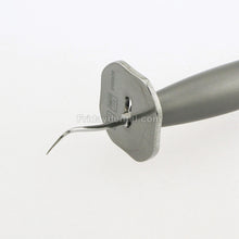 Sonic SS-M4/B2 Dental Air Scaler Hygiene Handpiece 2/4 Holes+3Pcs tips