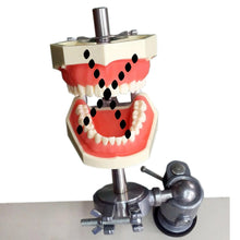 Typodont Dental Mounting Pole it Kilgore Nissin Columbia Frasaco Dentoform