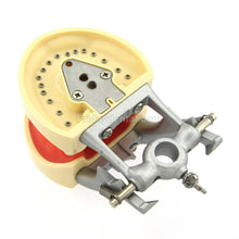 Dental Typodont Practice Model for Students with 32Pcs Removable Teeth Fit Kilgore Nissin 200