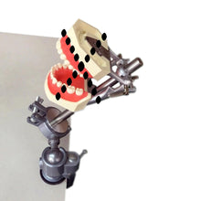 Typodont Dental Mounting Pole it Kilgore Nissin Columbia Frasaco Dentoform